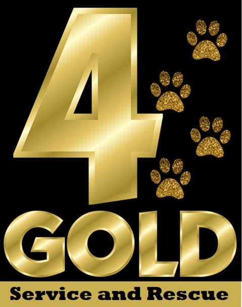 4 Gold logo